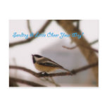 Chickadee Cheer Chickadee Cheer