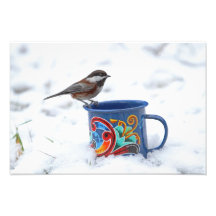 Chickadee en la nieve impresion fotografica