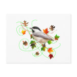 Chickadee & Fall Leaves Chickadee & Fall Leaves