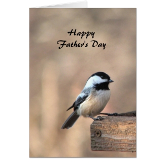 Chickadee Fathers Day