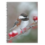 Chickadee in Falling Snow with Red Berries Spiral Note Books