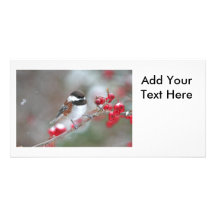 Chickadee in Falling Snow with Red Berries Custom Photo Card
