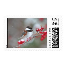 Chickadee in Falling Snow with Red Berries Stamps