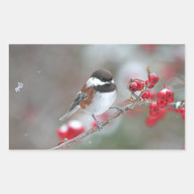 Chickadee in Falling Snow with Red Berries Sticker