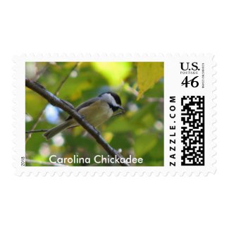 Chickadee in Silverbell Tree stamp
