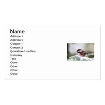 Chickadee in the Snow Business Card Template