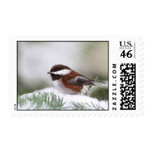 Chickadee in the Snow Postage Stamp