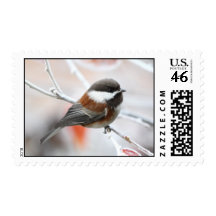 Chickadee in Winter Stamps