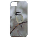 Chickadee iPhone 5 case casemate cases