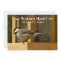 Chickadee is Suspicious; Gift Certificate Custom Invite