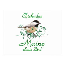 Chickadee Maine State Bird postcards
