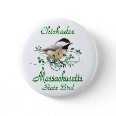 massachusetts state bird