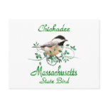 Chickadee Massachusetts State Bird postcards