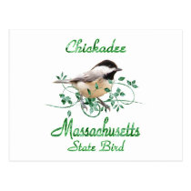 Chickadee Massachusetts State Bird postcards