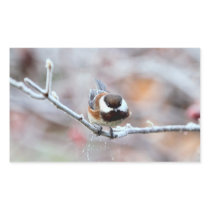 Chickadee on a Frosty Tree Branch Rectangular Stickers