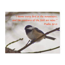 Chickadee on a Twig Postcard