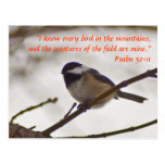 Chickadee on a Twig Postcard