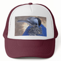 Chickadee on my Knee Hat