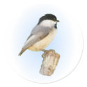 Chickadee on Post stickers by TLArnold Chickadee on Post stickers