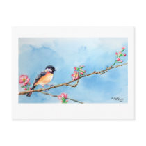 Chickadee Postcard
