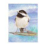 Chickadee Postcard
