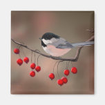 CHICKADEE & RED BERRIES by SHARON SHARPE Fridge Magnet