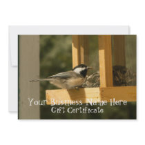 Chickadee Snacktime; Gift Certificate Invitation