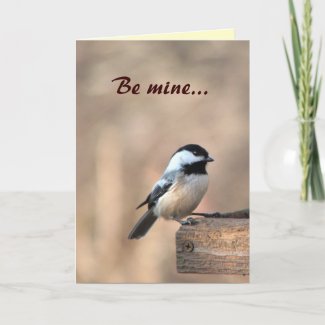 Chickadee Valentine Cards