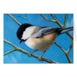 CHICKADEE: WINTER: ART: REALISM: CARD