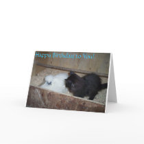 Chicken and kitten greeting card