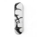 chicken bat? skateboards
