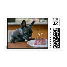 Chicken Birthday Stamp
