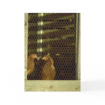 Chicken Coop Card by purpletiger Chicken Coop Card