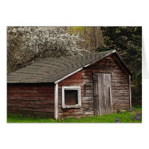 Chicken Coop in Spring Cards