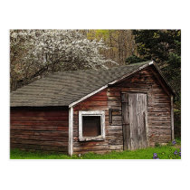 Chicken Coop in Spring Post Card