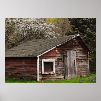 Chicken Coop in Spring