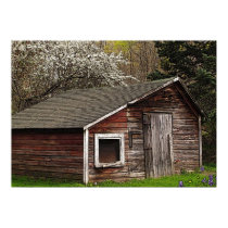 Chicken Coop in Spring Posters