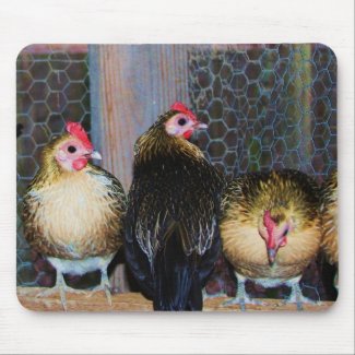 Chicken Coop mousepad