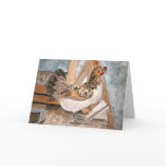 chicken greeting card cards pet art farm animals