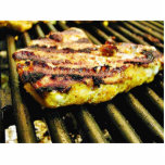 Chicken Grilling Photo Cut Out
