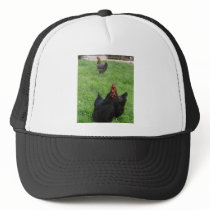 Chicken Trucker Hats