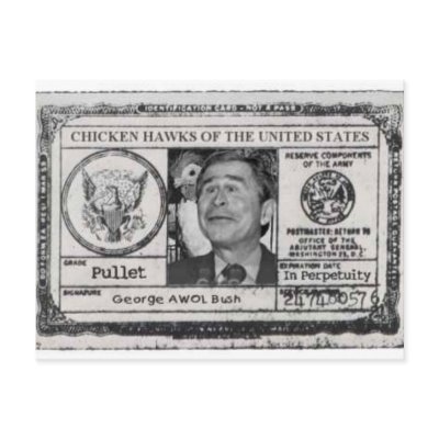 Chicken Hawk Cards of the United States post card by maximus7