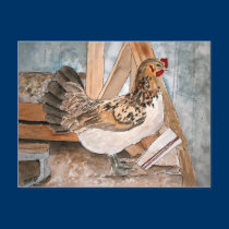 chicken hen art pet portrait post card cards art postcards
