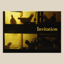 Chicken House invitations