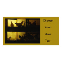 Chicken House Picture Card