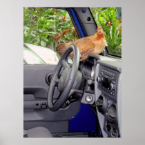 Chicken in a Car! Posters
