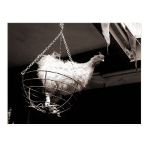 Chicken in the Basket Post Cards