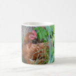 Chicken in the Grass Mugs