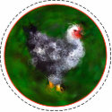Chicken Ornament photo sculptures