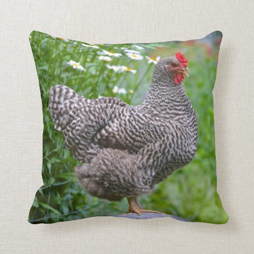 chicken pillow pet